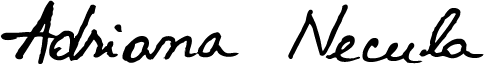 Adriana Necula logo